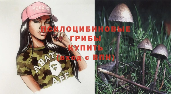 ешки Алзамай