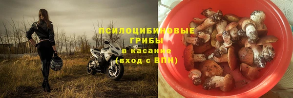 ешки Алзамай